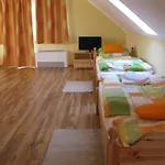 Πανσιόν Vidor Vendeghaz 3*